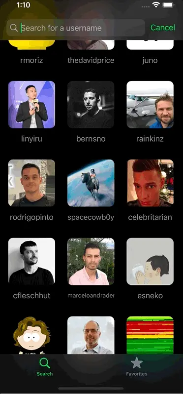 Github Profiles preview 2
